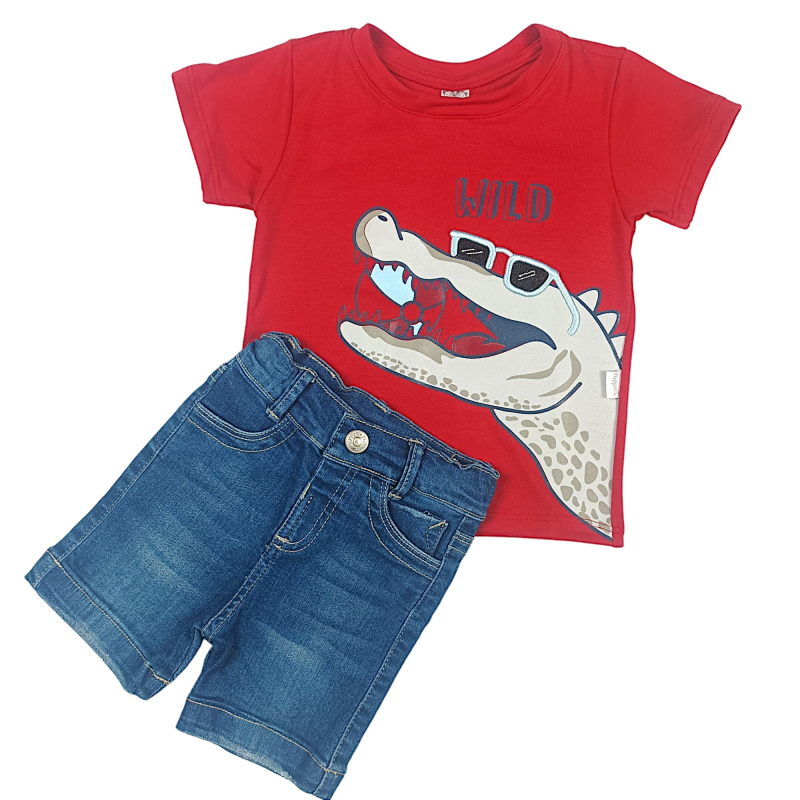 Conjunto Camiseta Bermuda...